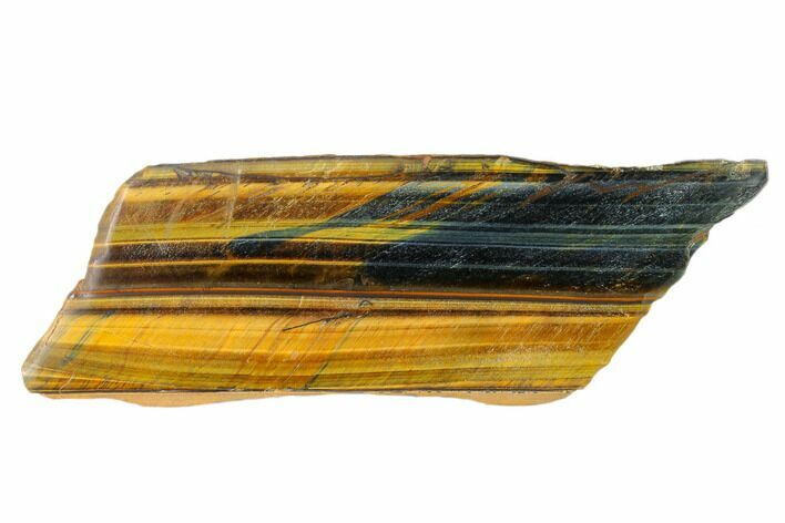 Polished Tiger's Eye Section - South Africa #148296